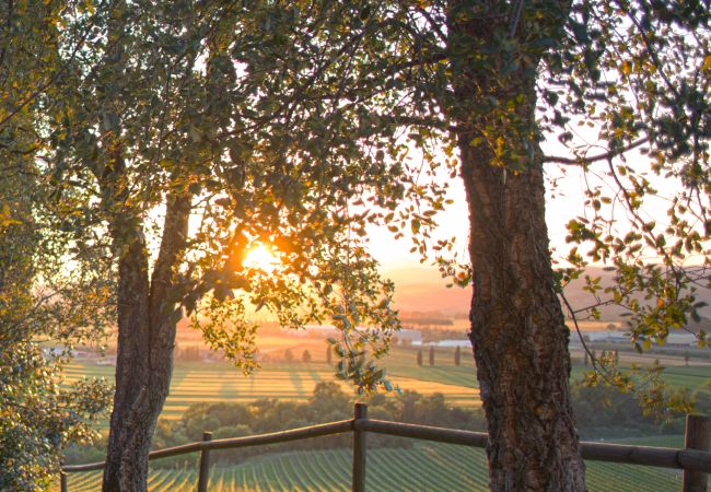 Ferienwohnung in Cinigiano - Private Cozy Apartment Argine Ferienwohnung in Cinigiano - Private Cozy Apartment Argine