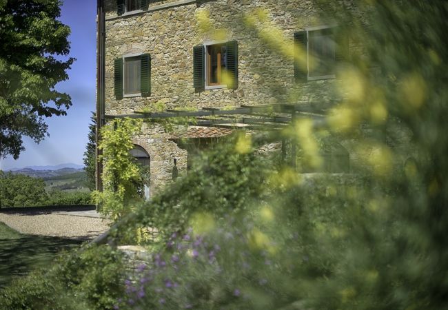 Ferienwohnung in Panzano - Luxury Chianti between Grapes in Panzano Chianti Ferienwohnung in Panzano - Luxury Chianti between Grapes in Panzano Chianti