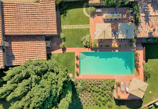 Villa in Castellina in Chianti - Luxury Villa in Chianti with Winery up to 4 Guests