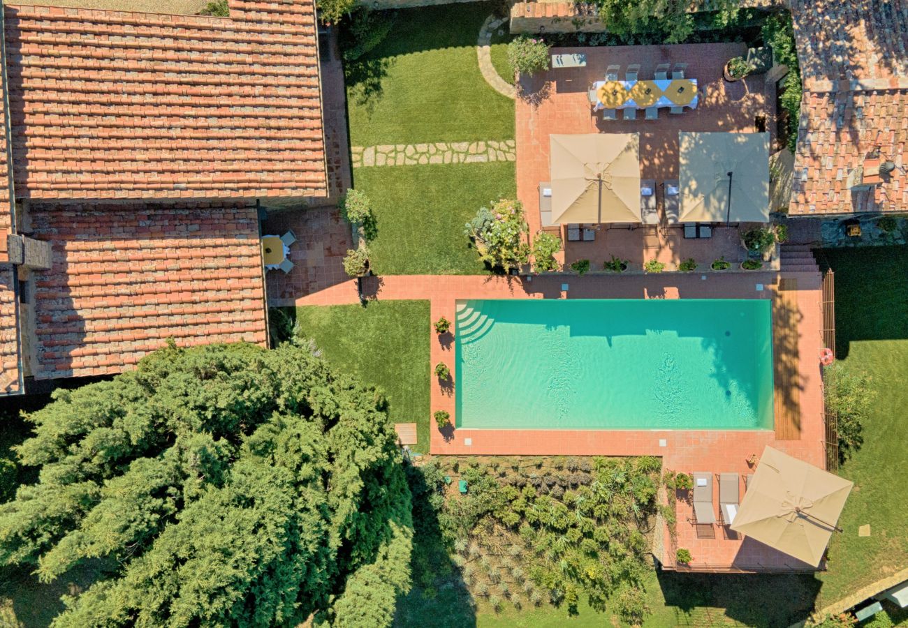 Villa in Castellina in Chianti - Luxury Villa in Chianti with Winery up to 4 Guests