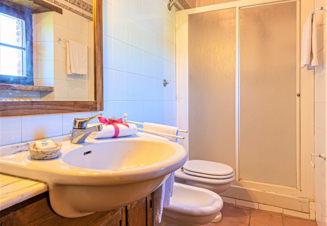 Appartement à Bucine - Chianti for Four at Marioli Appartement à Bucine - Chianti for Four at Marioli