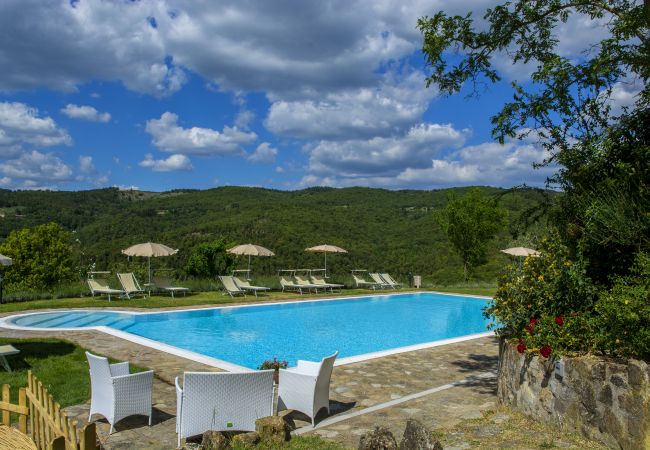 Appartement à Castellina in Chianti - La Grotta della Rocca in Chianti Appartement à Castellina in Chianti - La Grotta della Rocca in Chianti