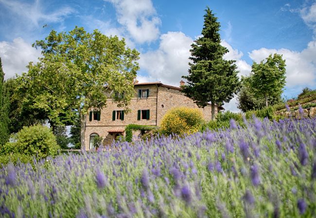 Appartement à Panzano - Luxury Chianti For Four in Panzano Chianti Appartement à Panzano - Luxury Chianti For Four in Panzano Chianti