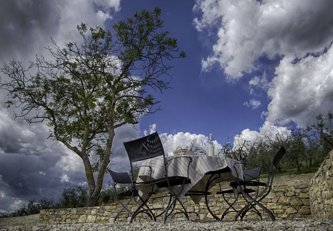 Appartement à Panzano - Luxury Chianti For Four in Panzano Chianti Appartement à Panzano - Luxury Chianti For Four in Panzano Chianti