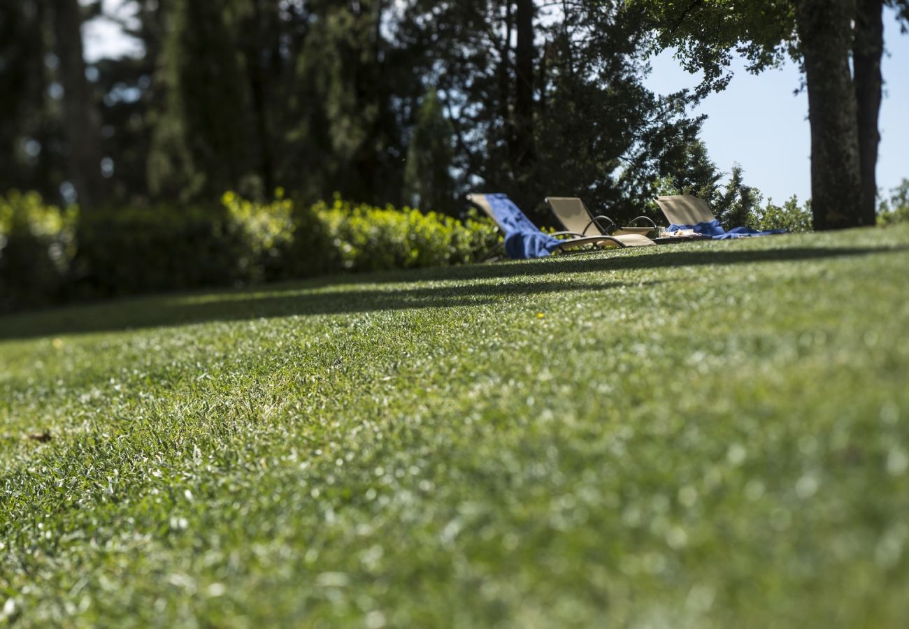 Appartement à Panzano - Luxury Chianti For Four in Panzano Chianti Appartement à Panzano - Luxury Chianti For Four in Panzano Chianti