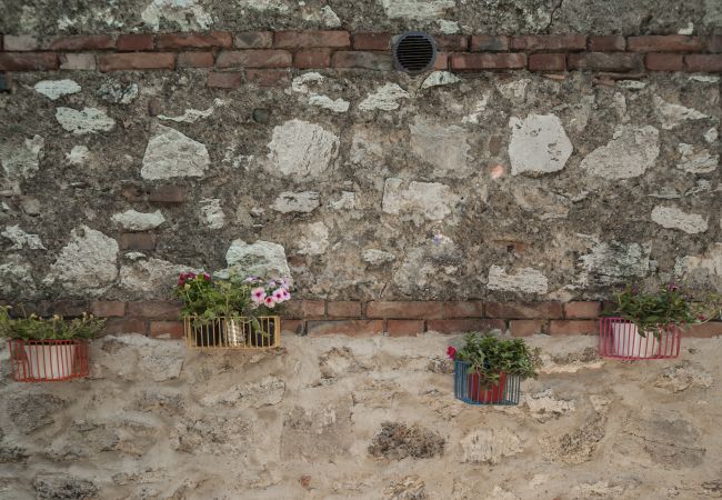 Appartement à Asciano - Your Agritourism with Charme at Mandorlinovo Appartement à Asciano - Your Agritourism with Charme at Mandorlinovo