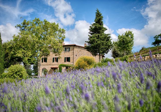  à Panzano - Luxury Chianti with 2 Bedrooms in Panzano Chianti