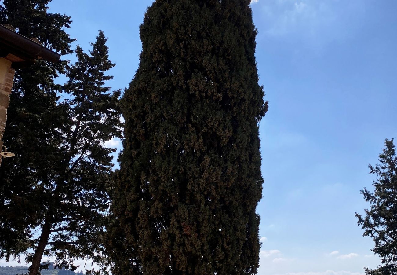 Appartement à Certaldo - Luxury, Sustainability and Eco Pool in Forno Apt. Appartement à Certaldo - Luxury, Sustainability and Eco Pool in Forno Apt.