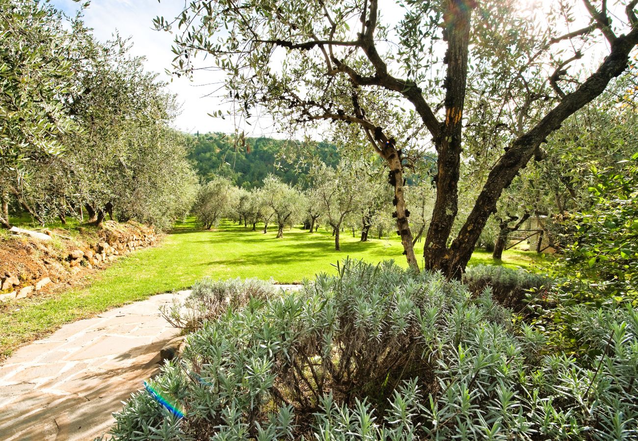 Villa à Pian di Sco - Villa Nocciolo in most Exclusive Borgo in Tuscany Villa à Pian di Sco - Villa Nocciolo in most Exclusive Borgo in Tuscany