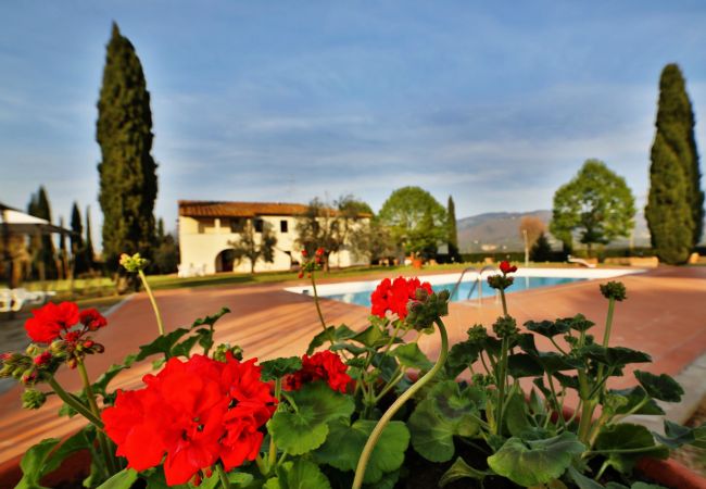 Appartement à Rignano sull´Arno - Fattoria del Chianti close to Florence for six Appartement à Rignano sull´Arno - Fattoria del Chianti close to Florence for six