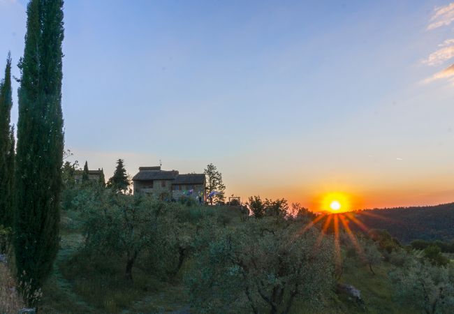 Appartamento a Castellina in Chianti - La Scaletta della Rocca in Chianti Appartamento a Castellina in Chianti - La Scaletta della Rocca in Chianti