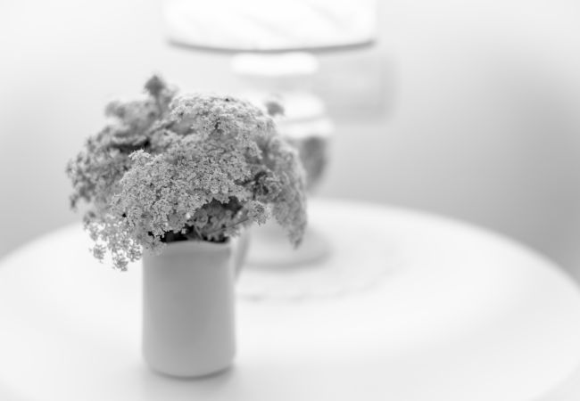 Appartamento a Asciano - Your Agritourism with Pool at Lillanovo Appartamento a Asciano - Your Agritourism with Pool at Lillanovo