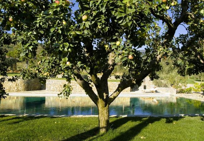 Villa a Pian di Sco - Villa Noce in most Exclusive Borgo in Tuscany Villa a Pian di Sco - Villa Noce in most Exclusive Borgo in Tuscany