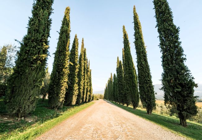  a Rignano sull´Arno - Fattoria del Chianti close to Florence for two