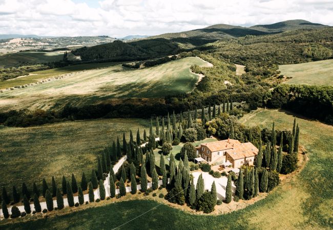 Appartamento a Bibbona - Ideal for Couples close to Seaside