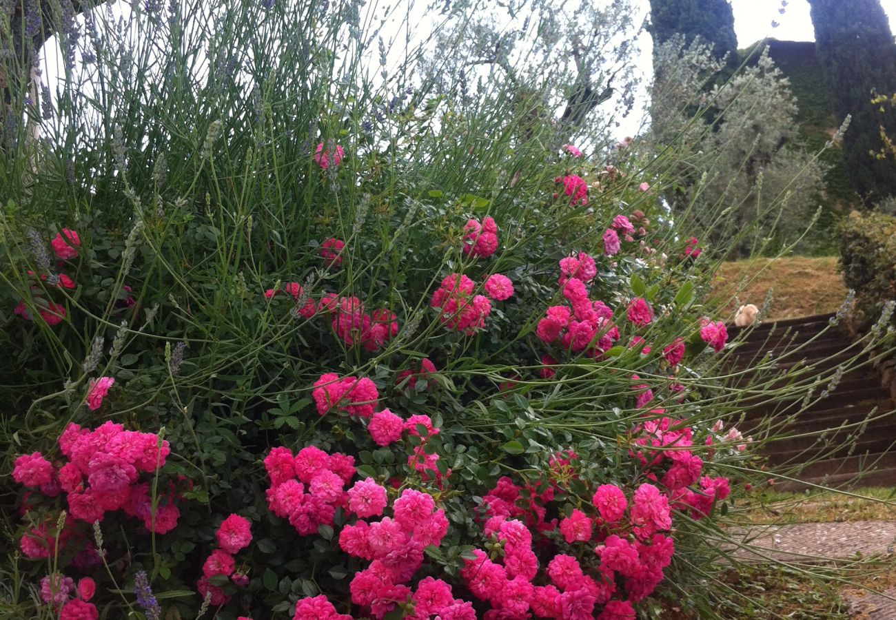 Appartement in Monte San Savino - Villa Ceppeto for Your Family w/ Tesla Charger Appartement in Monte San Savino - Villa Ceppeto for Your Family w/ Tesla Charger