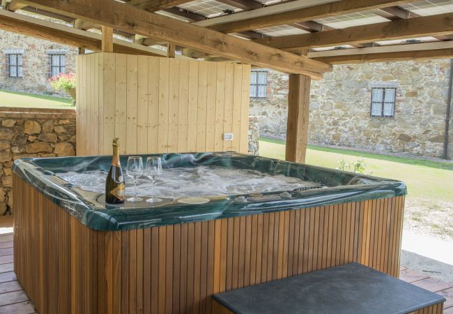 Appartement in Bucine - Nest in Chianti at Marioli Appartement in Bucine - Nest in Chianti at Marioli