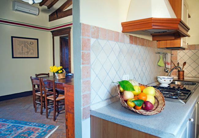 Appartement in Cinigiano - Typical Stone House looking Banfi Wineries Appartement in Cinigiano - Typical Stone House looking Banfi Wineries