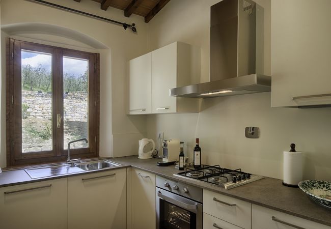 Appartement in Panzano - Luxury Chianti in Olive in Panzano Chianti Appartement in Panzano - Luxury Chianti in Olive in Panzano Chianti