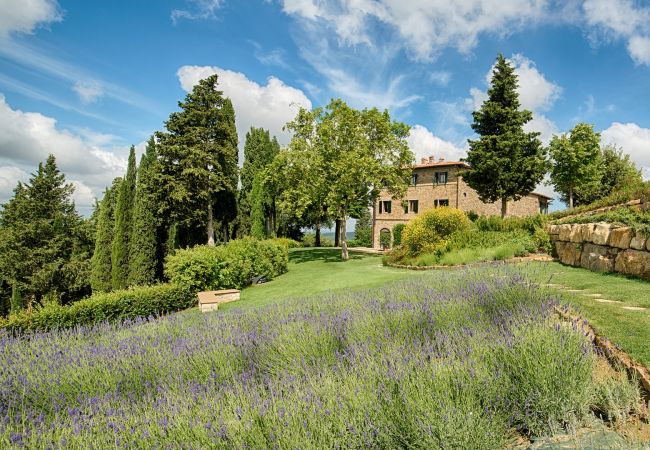 Appartement in Panzano - Luxury Chianti in Olive in Panzano Chianti Appartement in Panzano - Luxury Chianti in Olive in Panzano Chianti