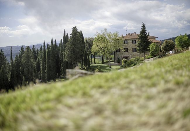 Appartement in Panzano - Luxury Chianti in Olive in Panzano Chianti Appartement in Panzano - Luxury Chianti in Olive in Panzano Chianti