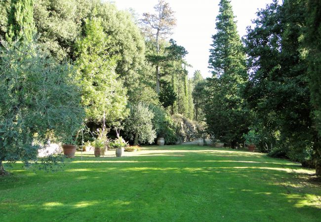 Villa in Civitella in Val di Chiana - Villa Tuscany with Flair, Luxury & Panorama Villa in Civitella in Val di Chiana - Villa Tuscany with Flair, Luxury & Panorama