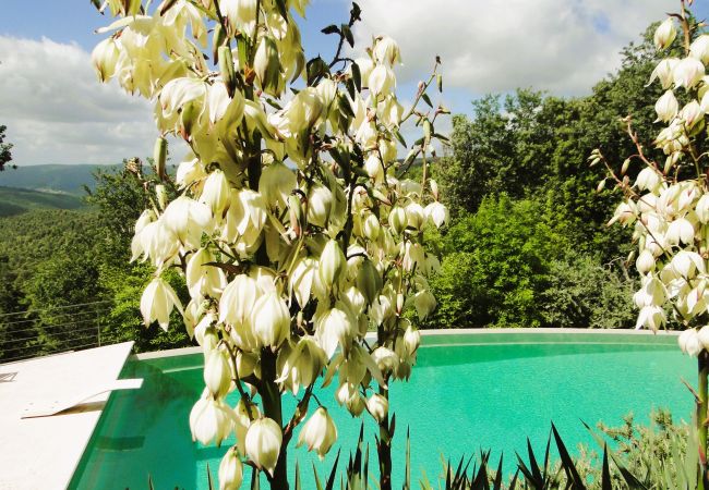 Villa in Civitella in Val di Chiana - Villa Tuscany with Flair, Luxury & Panorama Villa in Civitella in Val di Chiana - Villa Tuscany with Flair, Luxury & Panorama