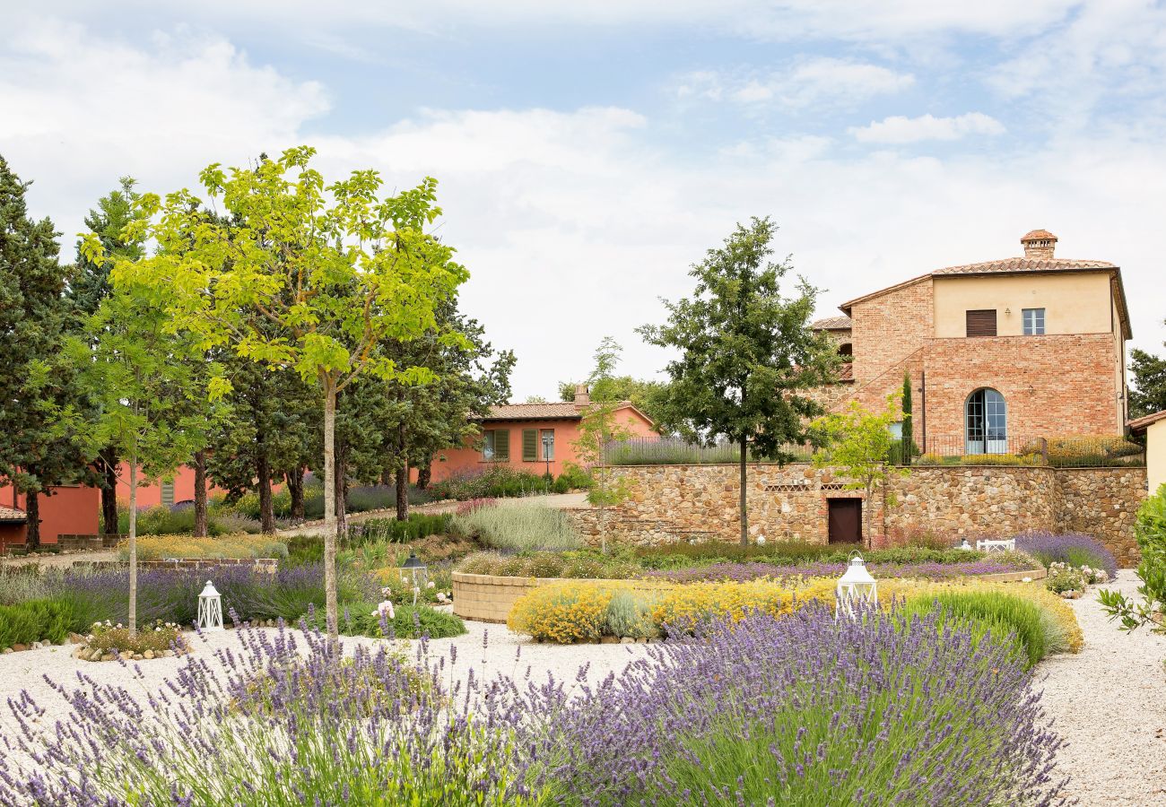 Appartement in Trequanda - Luxury 2 Rooms Apt. Azure in Siena Resort Appartement in Trequanda - Luxury 2 Rooms Apt. Azure in Siena Resort