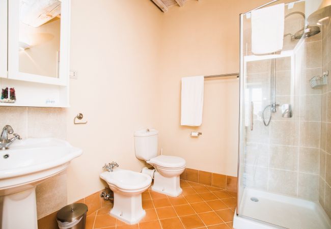 Appartement in Trequanda - Luxury 2 Rooms Apt. Pine in Siena Resort Appartement in Trequanda - Luxury 2 Rooms Apt. Pine in Siena Resort