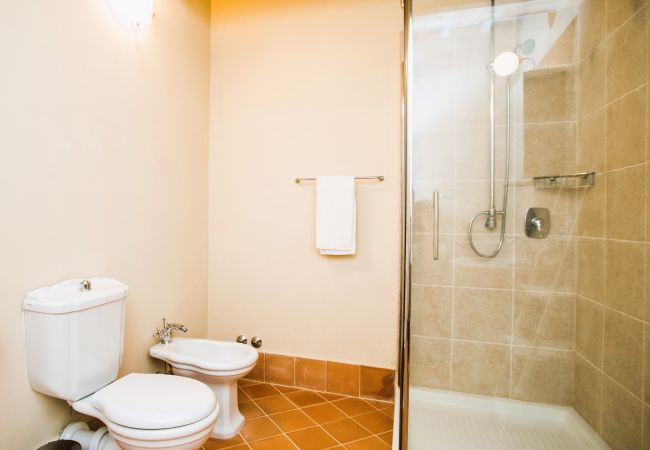 Appartement in Trequanda - Luxury 3 Rooms Apt. Olives in Siena Resort Appartement in Trequanda - Luxury 3 Rooms Apt. Olives in Siena Resort