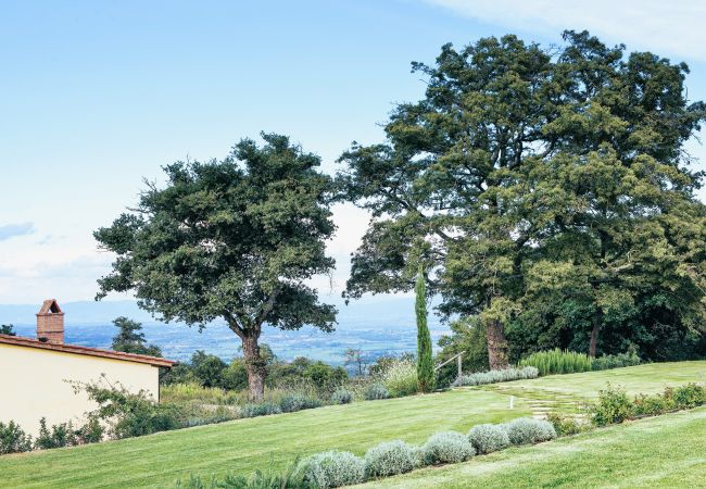 Appartement in Trequanda - Luxury 3 Rooms Apt. Olives in Siena Resort Appartement in Trequanda - Luxury 3 Rooms Apt. Olives in Siena Resort