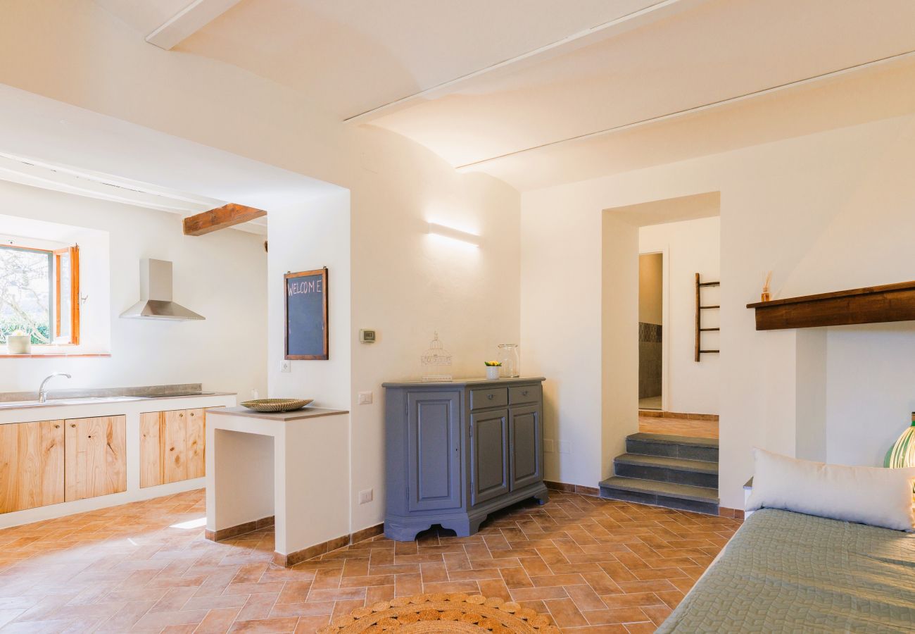 Appartement in Rignano sull´Arno - Fattoria del Chianti close to Florence for two Appartement in Rignano sull´Arno - Fattoria del Chianti close to Florence for two