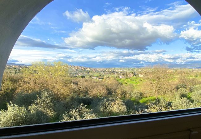 Appartement in Monte San Savino - Villa Ceppeto's Brand New One bedroom Appartement in Monte San Savino - Villa Ceppeto's Brand New One bedroom