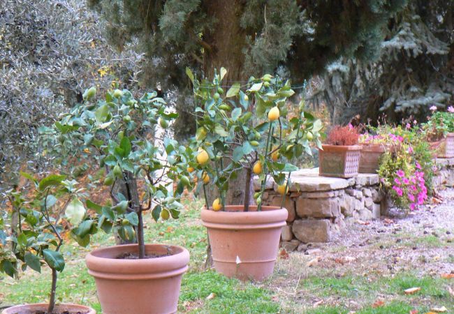 Apartment in Monte San Savino - Villa Ceppeto for Your Family w/ Tesla Charger Apartment in Monte San Savino - Villa Ceppeto for Your Family w/ Tesla Charger