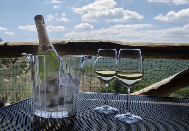 Apartment in Bucine - Typical, Charming with Chianti View at Marioli Apartment in Bucine - Typical, Charming with Chianti View at Marioli