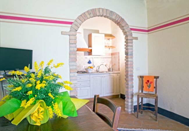 Apartment in Cinigiano - Old Stone Apartment Perona Apartment in Cinigiano - Old Stone Apartment Perona