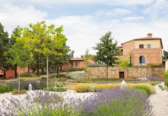 Apartment in Trequanda - Luxury 2 Rooms Apt. Cypress in  Siena Resort Apartment in Trequanda - Luxury 2 Rooms Apt. Cypress in  Siena Resort