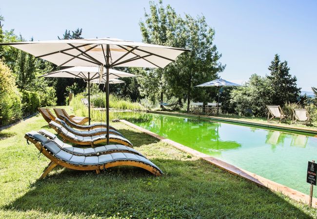 Apartment in Certaldo - Luxury, Sustainability and Eco Pool in Forno Apt. Apartment in Certaldo - Luxury, Sustainability and Eco Pool in Forno Apt.