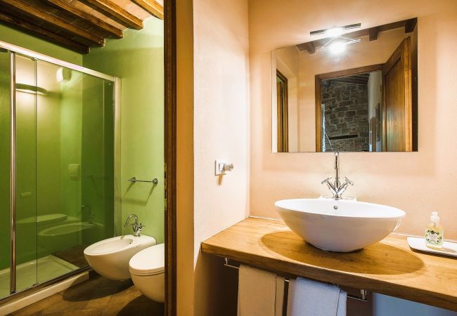 Apartment in Certaldo - Luxury, Sustainability and Eco Pool in Frangi Apt. Apartment in Certaldo - Luxury, Sustainability and Eco Pool in Frangi Apt.