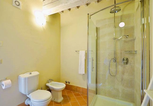 Apartment in Trequanda - Luxury 3 Rooms Apt. Olives in Siena Resort Apartment in Trequanda - Luxury 3 Rooms Apt. Olives in Siena Resort