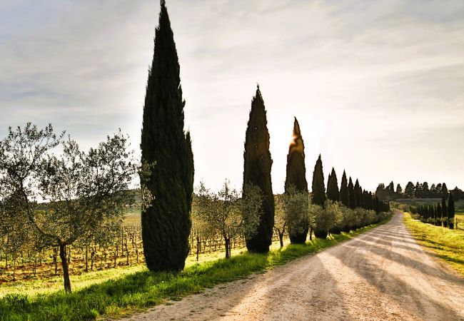 Apartment in Rignano sull´Arno - Fattoria del Chianti close to Florence for two Apartment in Rignano sull´Arno - Fattoria del Chianti close to Florence for two