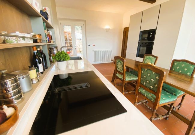 Apartment in Monte San Savino - Villa Ceppeto's Brand New One bedroom Apartment in Monte San Savino - Villa Ceppeto's Brand New One bedroom